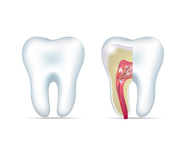 Get help with a root canal in Malmö - TandCity